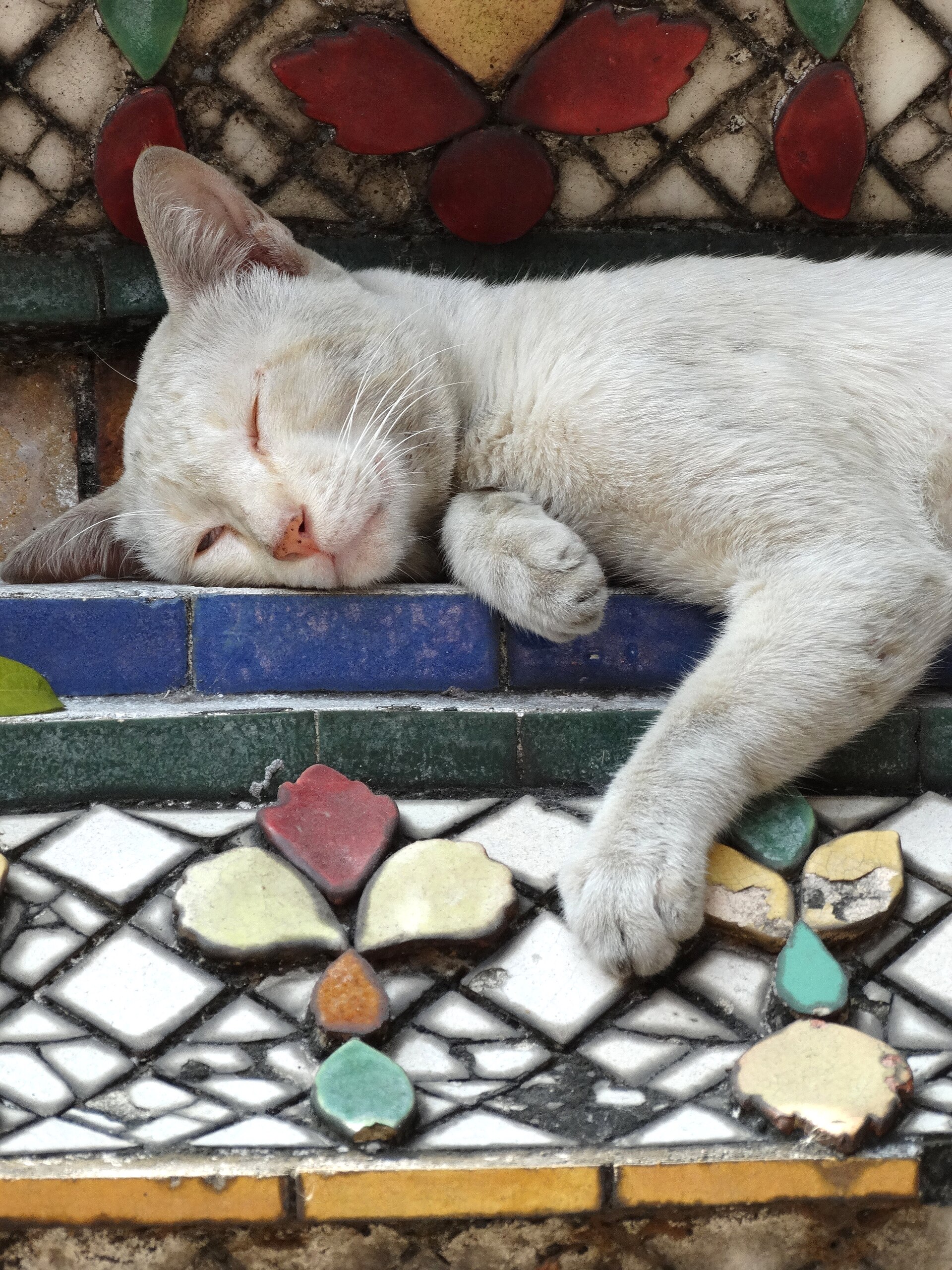 A cat asleep on a stupa at a Bangkok temple